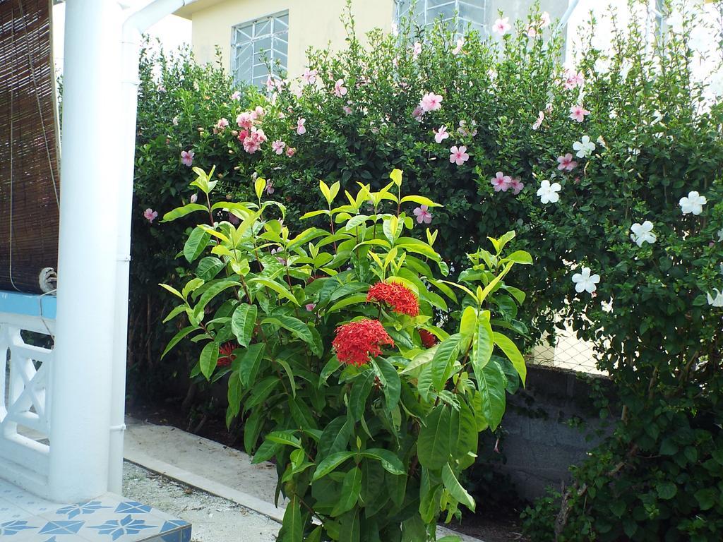 Apartment Le Paradiso Bambou