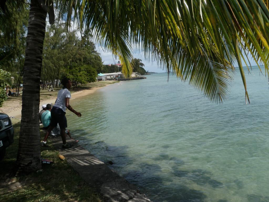 Le Paradiso Bambou