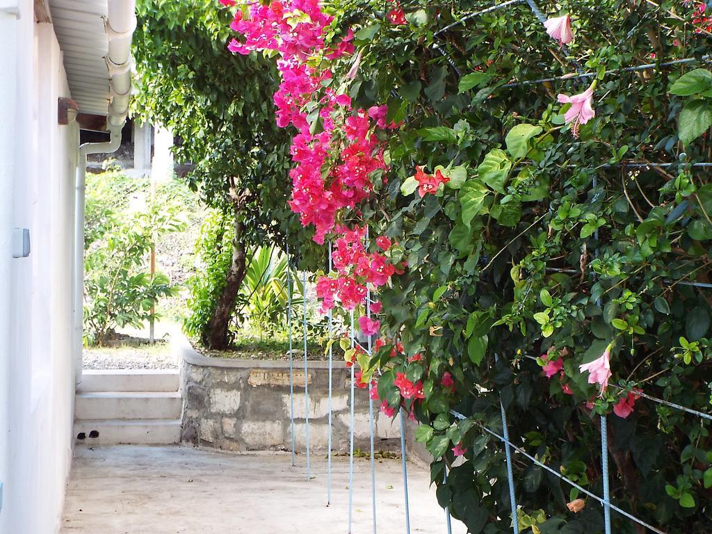 Le Paradiso Apartment Bambou